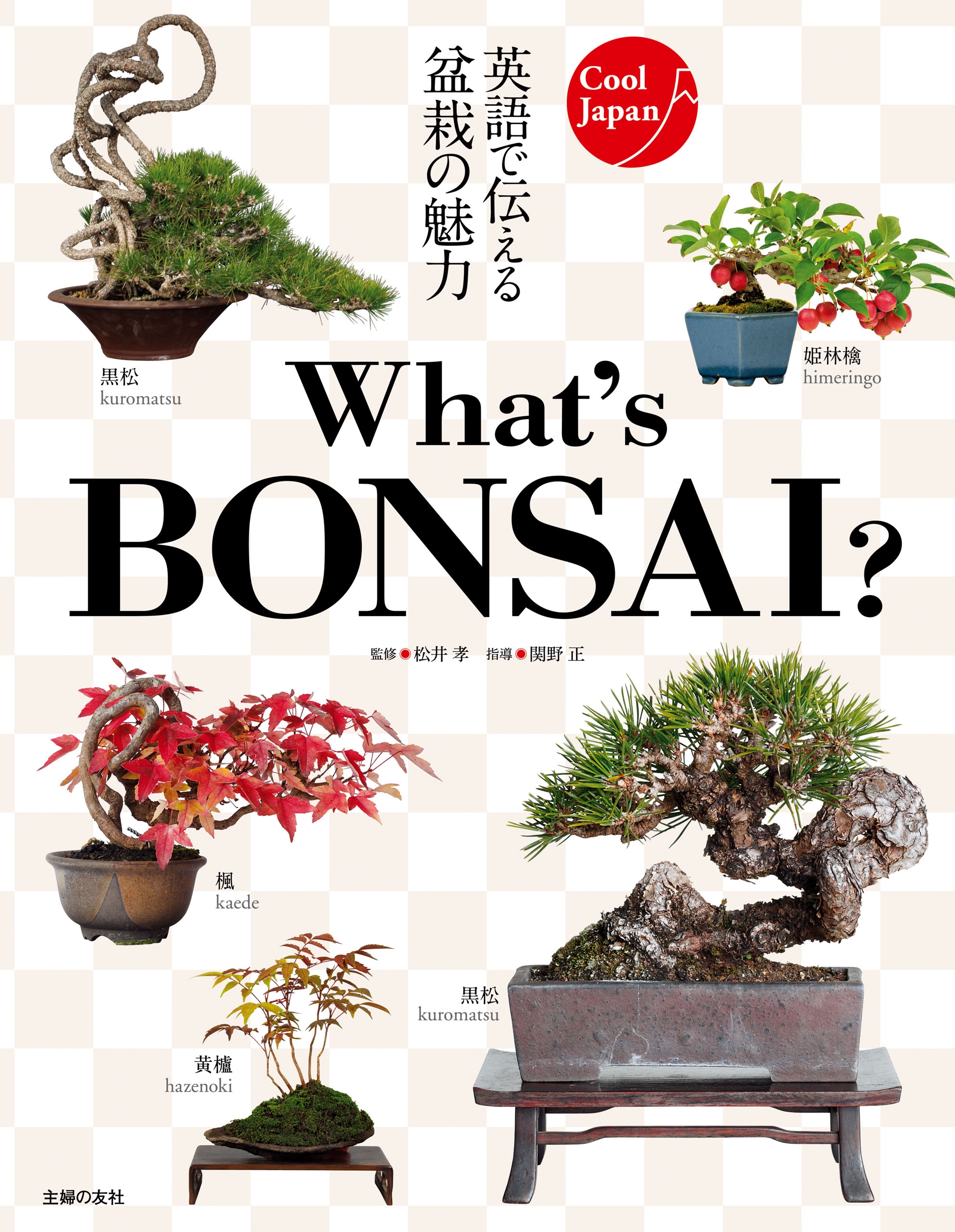 Ｗｈａｔ'ｓ ＢＯＮＳＡＩ ？ - 松井孝 - ビジネス・実用書・無料試し読みなら、電子書籍・コミックストア ブックライブ