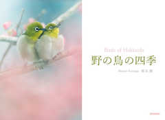 Ļλ͵ Birds of Hokkaido