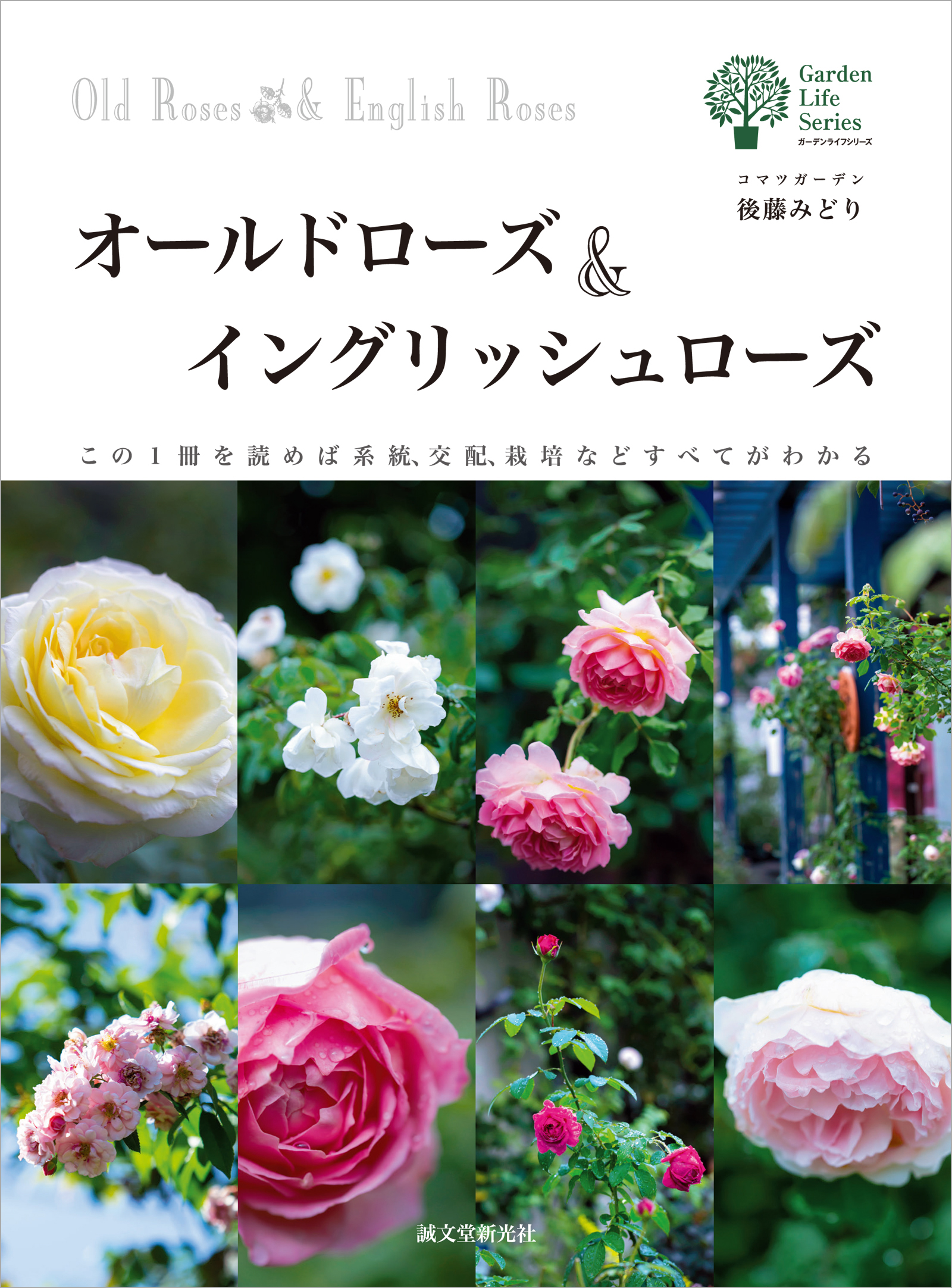 クリスマスローズ この一冊を読めば原種、交雑種、栽培などすべてがわかる／横山直樹