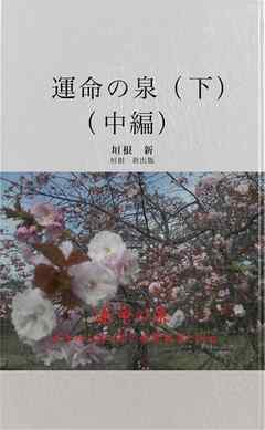 運命の泉　下　（中編）