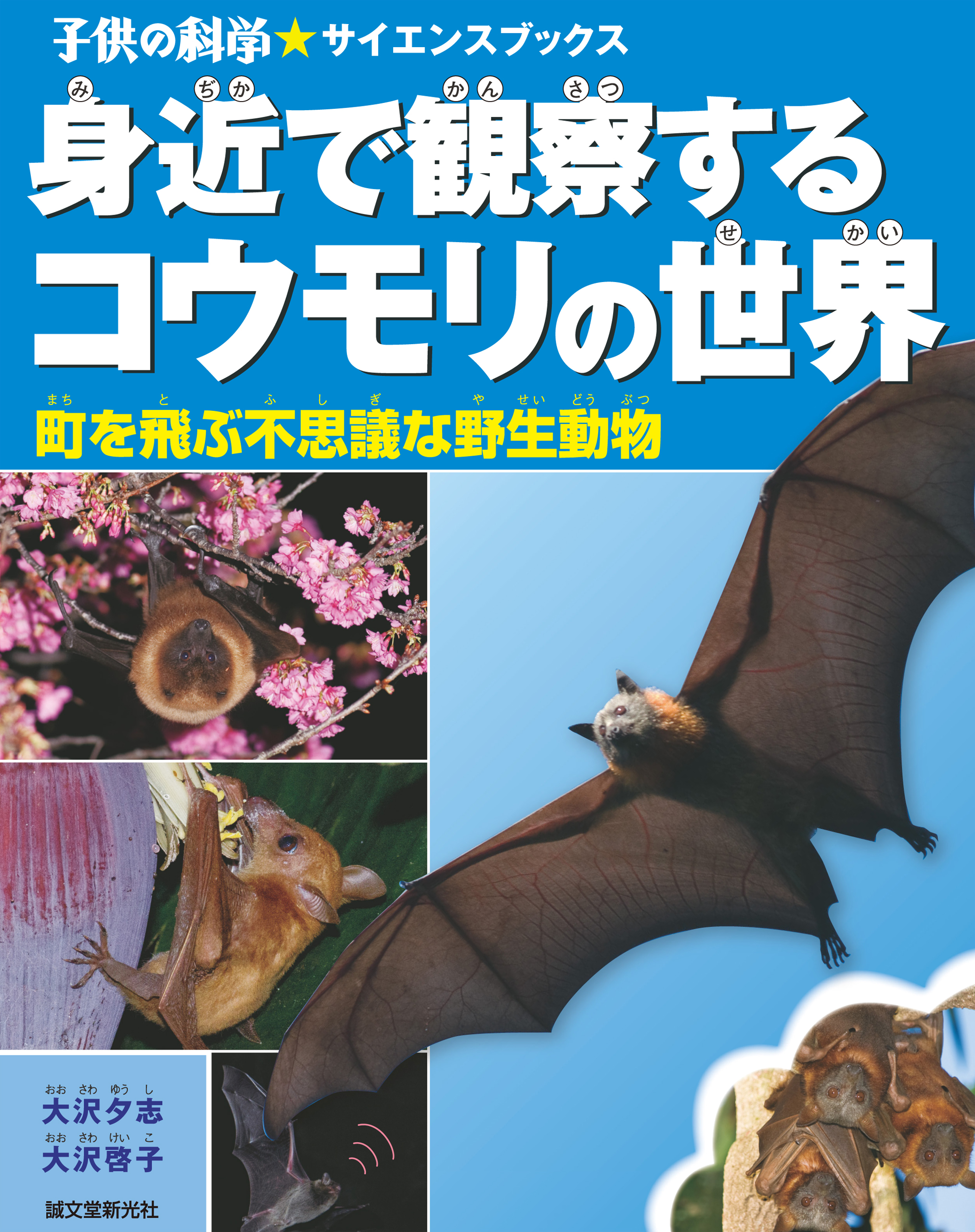 身近で観察するコウモリの世界 町を飛ぶ不思議な野生動物 漫画 無料試し読みなら 電子書籍ストア ブックライブ