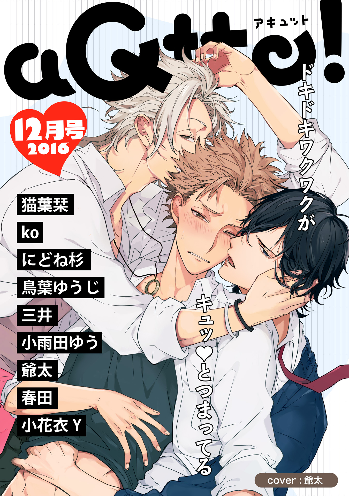 BL漫画 25冊 はらだ 芽玖いろは ぺそ太郎 雨隠ギド しきみ 咎井淳