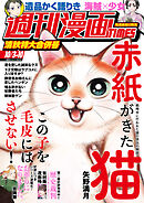 週刊漫画ＴＩＭＥＳ　２０２５年１０／３・１０合併号