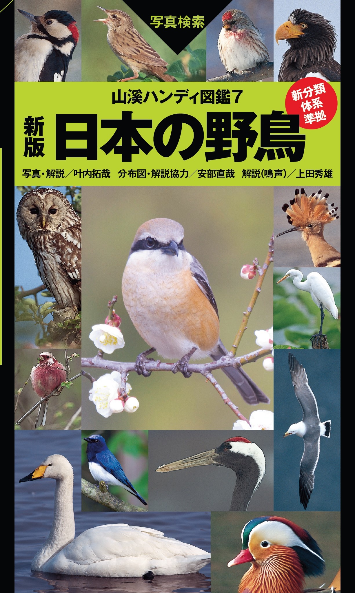 山溪ハンディ図鑑7 新版 日本の野鳥 叶内拓哉 漫画 無料試し読みなら 電子書籍ストア ブックライブ