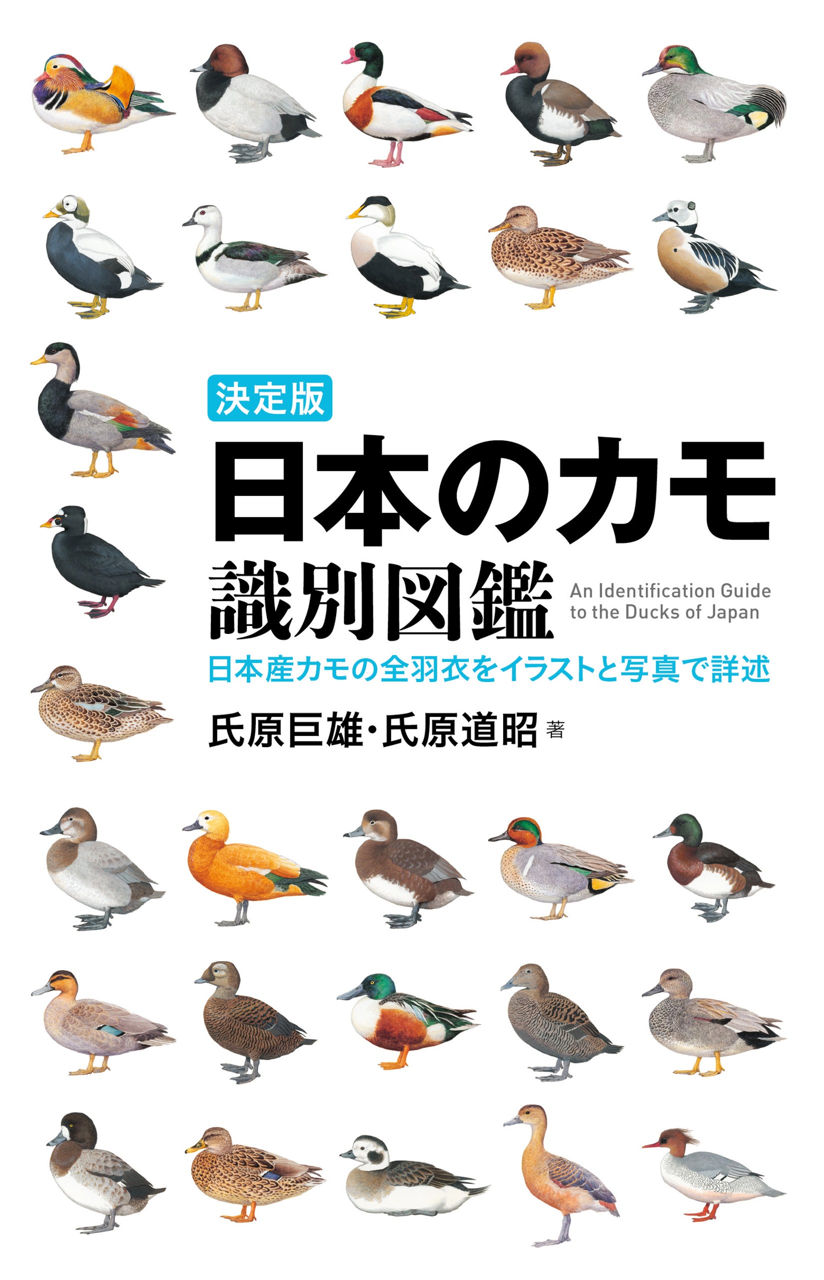 決定版 日本のカモ識別図鑑 日本産カモの全羽衣をイラストと写真で詳述 氏原巨雄 氏原道昭 漫画 無料試し読みなら 電子書籍ストア ブックライブ