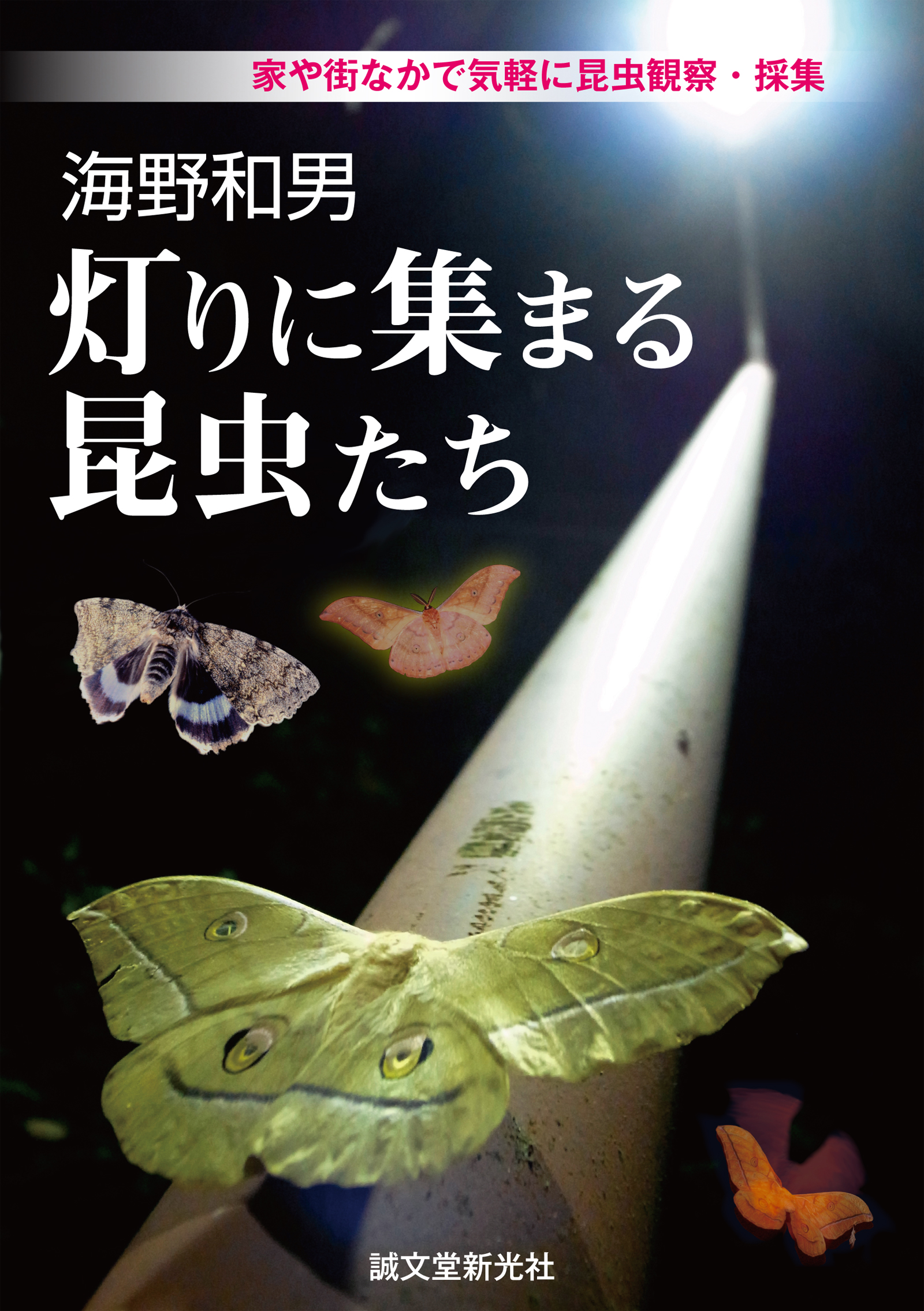 海野和男 灯りに集まる昆虫たち 家や街なかで気軽に昆虫観察 採集 海野和男 漫画 無料試し読みなら 電子書籍ストア ブックライブ