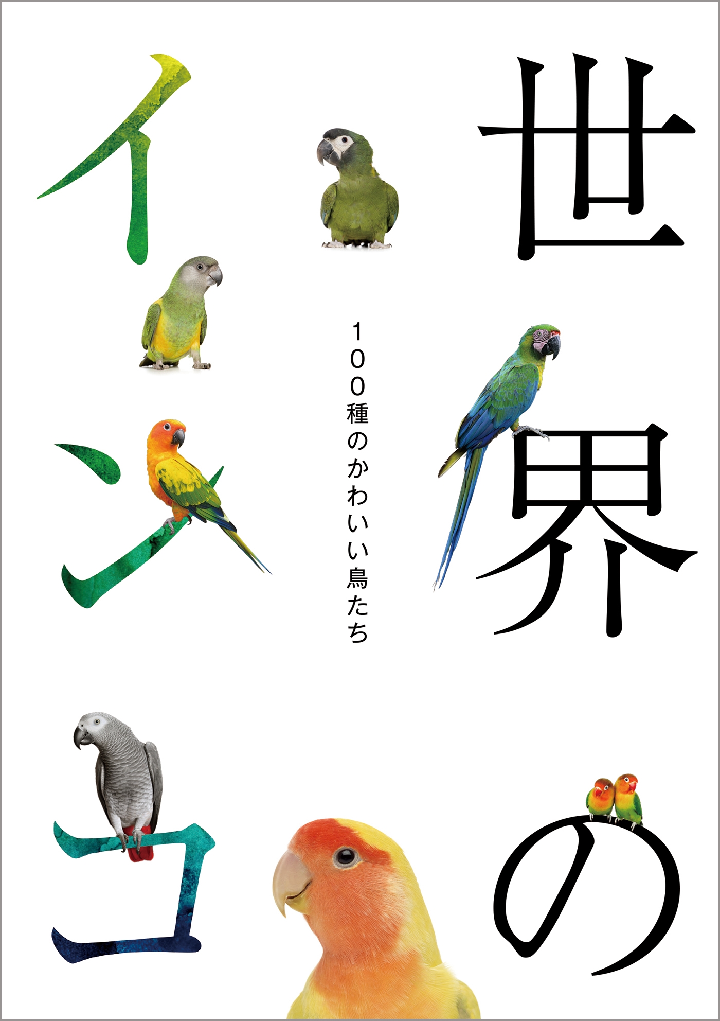 鳥用品世界のオウムとインコの図鑑