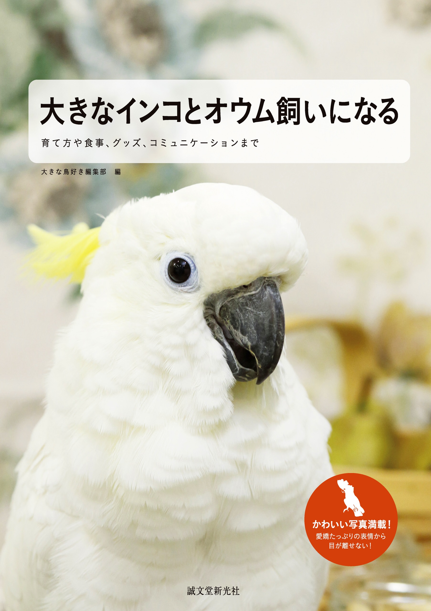 大きなインコとオウム飼いになる 育て方や食事 グッズ コミュニケーションまで 大きな鳥好き編集部 漫画 無料試し読みなら 電子書籍ストア ブックライブ