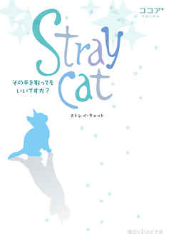 Stray cat　その手を取ってもいいですか？