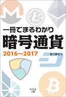 一冊でまるわかり暗号通貨2016～2017