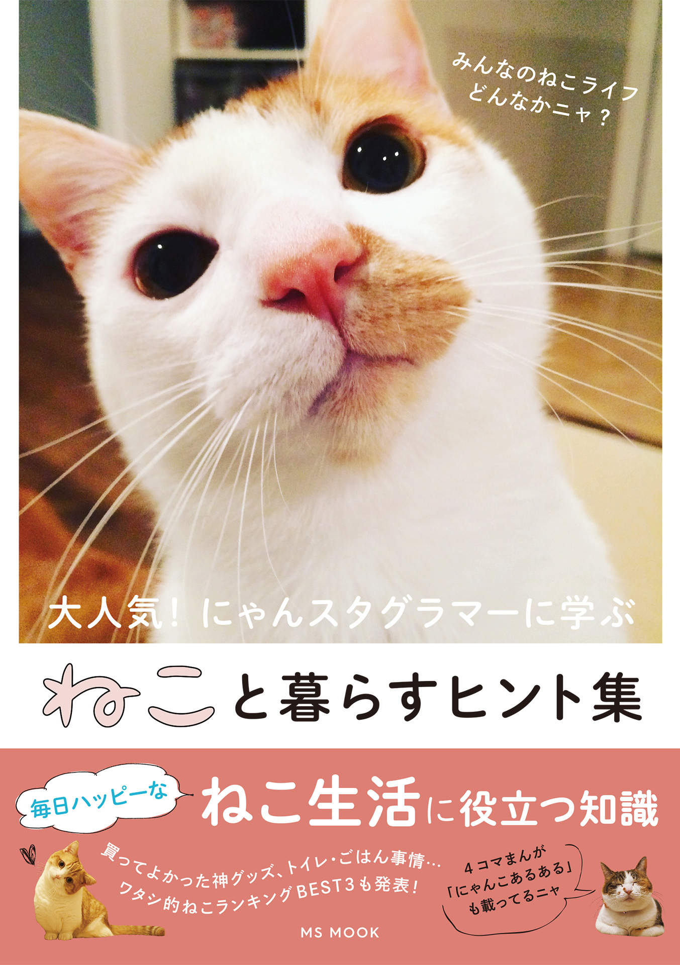 ねこと暮らすヒント集 漫画 無料試し読みなら 電子書籍ストア ブックライブ