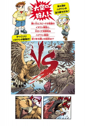 どっちが強い イヌワシvsハゲワシ 空の最強王者バトル 漫画 無料試し読みなら 電子書籍ストア ブックライブ どっちが強い イヌワシvsハゲワシ 空の最強王者バトル 漫画 無料試し読みなら 電子書籍ストア ブックライブ