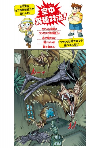 どっちが強い カラスｖｓコウモリ 危険な鳥獣エアバトル 漫画 無料試し読みなら 電子書籍ストア ブックライブ
