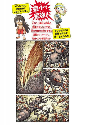 どっちが強い サシハリアリvsグンタイアリ 凶暴アリ軍団 大バトル 漫画 無料試し読みなら 電子書籍ストア ブックライブ