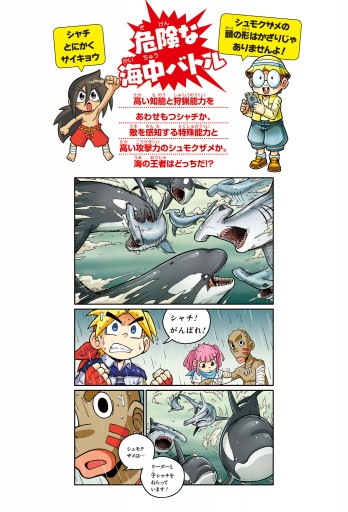 どっちが強い シャチvsシュモクザメ 恐怖 海の殺し屋対決 ジノ ブラックインクチーム 漫画 無料試し読みなら 電子書籍ストア ブックライブ