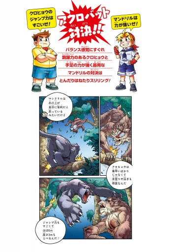 どっちが強い クロヒョウvsマンドリル まさかの空中決戦 漫画 無料試し読みなら 電子書籍ストア ブックライブ どっちが強い クロヒョウvsマンドリル まさかの空中決戦 漫画 無料試し読みなら 電子書籍ストア ブックライブ