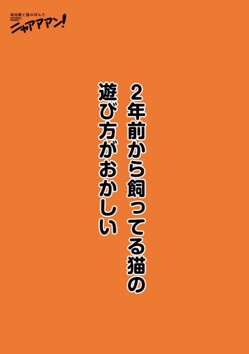 鴻池剛と猫のぽんた ニャアアアン 漫画 無料試し読みなら 電子書籍ストア ブックライブ