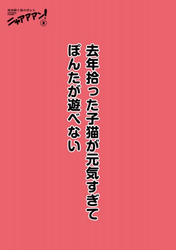 鴻池剛と猫のぽんた ニャアアアン 2 漫画 無料試し読みなら 電子書籍ストア ブックライブ