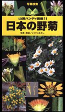 山溪ハンディ図鑑11　日本の野菊