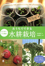 はじめてでも簡単！　おうちでできる水耕栽培　材料は１００円ショップで！　安心・安全の野菜、ハーブいろいろ