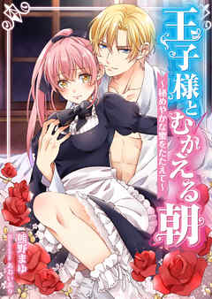 王子様とむかえる朝～秘めやかな蜜をたたえて～　9