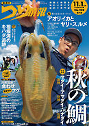 つり情報2024年11月1日号