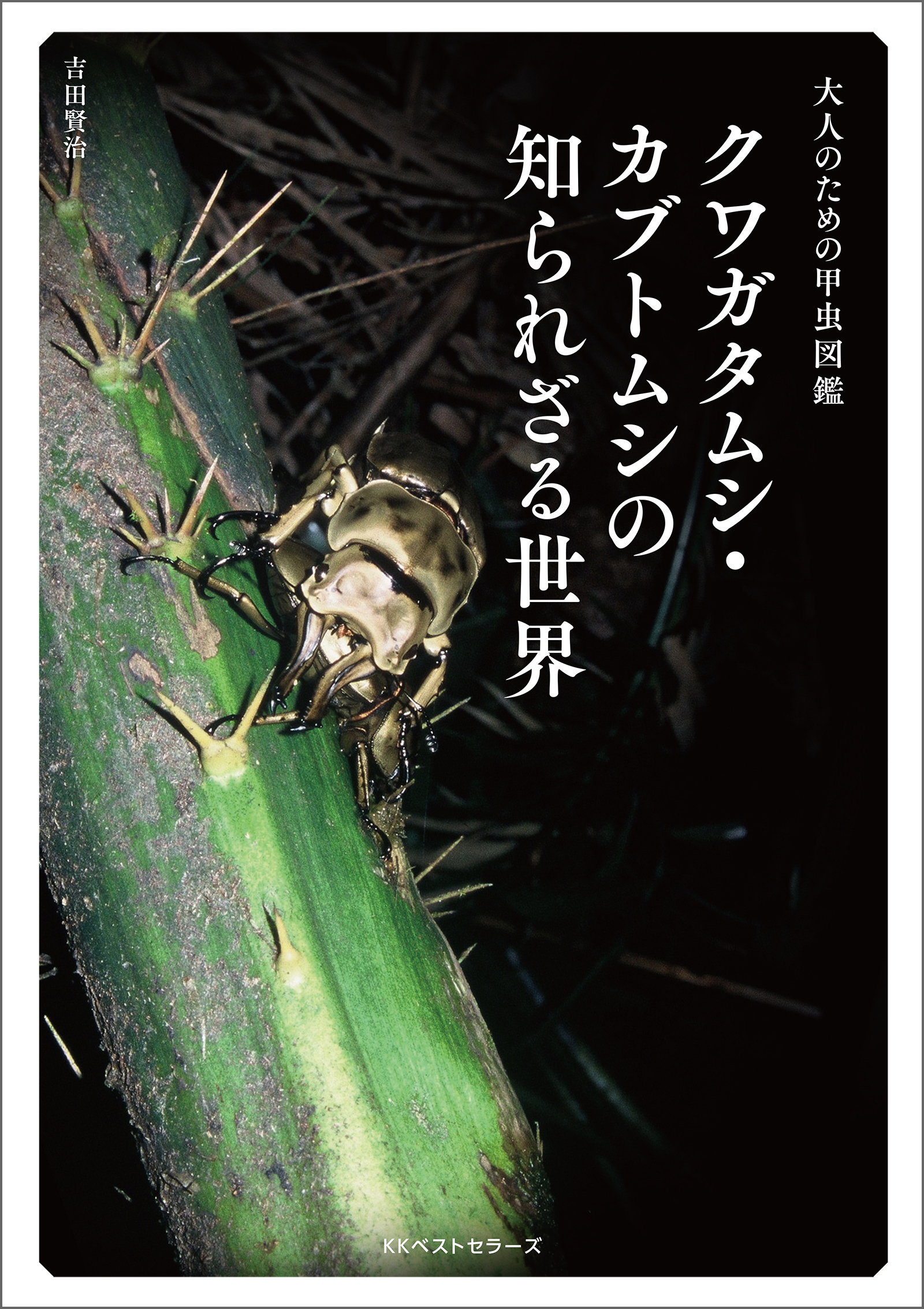 大人のための甲虫図鑑～ クワガタムシ・カブトムシの知られざる世界 - 吉田賢治 - ビジネス・実用書・無料試し読みなら、電子書籍・コミックストア  ブックライブ