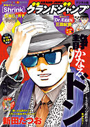 グランドジャンプ 2025 No.11