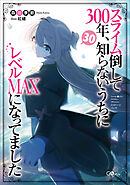 スライム倒して３００年、知らないうちにレベルＭＡＸになってました３０