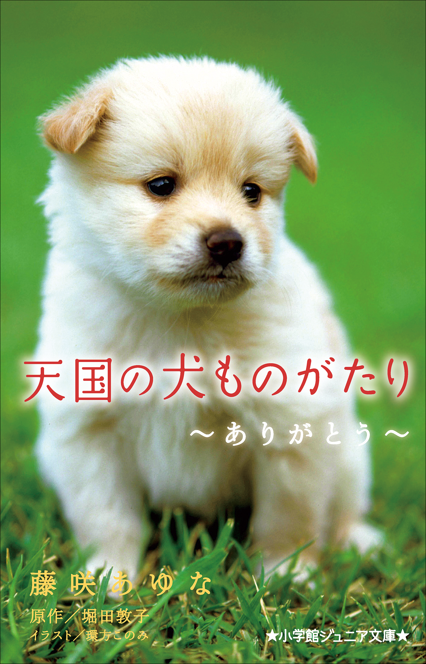 小学館ジュニア文庫 天国の犬ものがたり～ありがとう～ - 藤咲あゆ