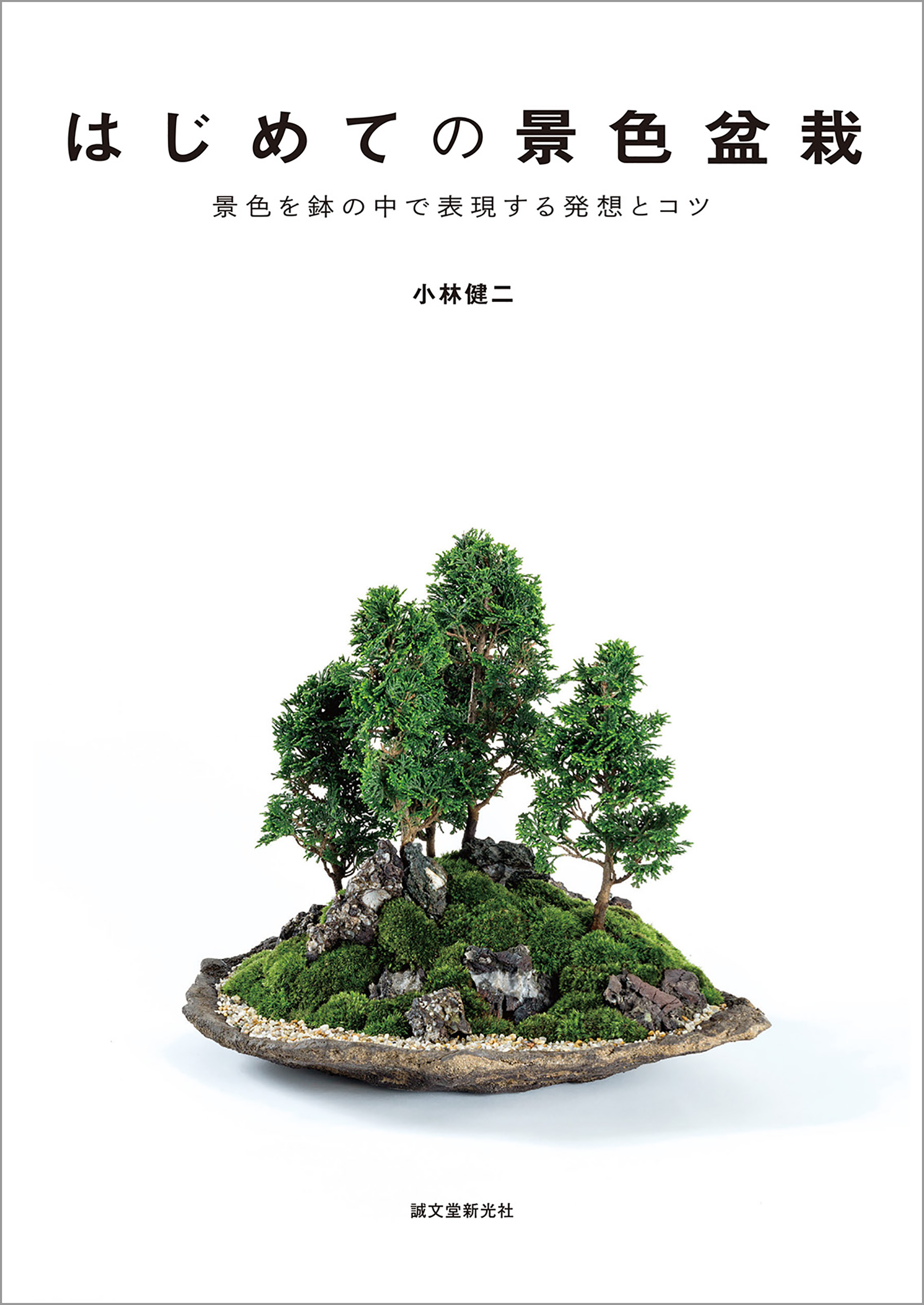 はじめての景色盆栽：景色を鉢の中で表現する発想とコツ - 小林健二