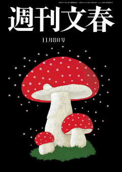 ½µ´©Ê¸½Õ¡¡11·î8Æü¹æ