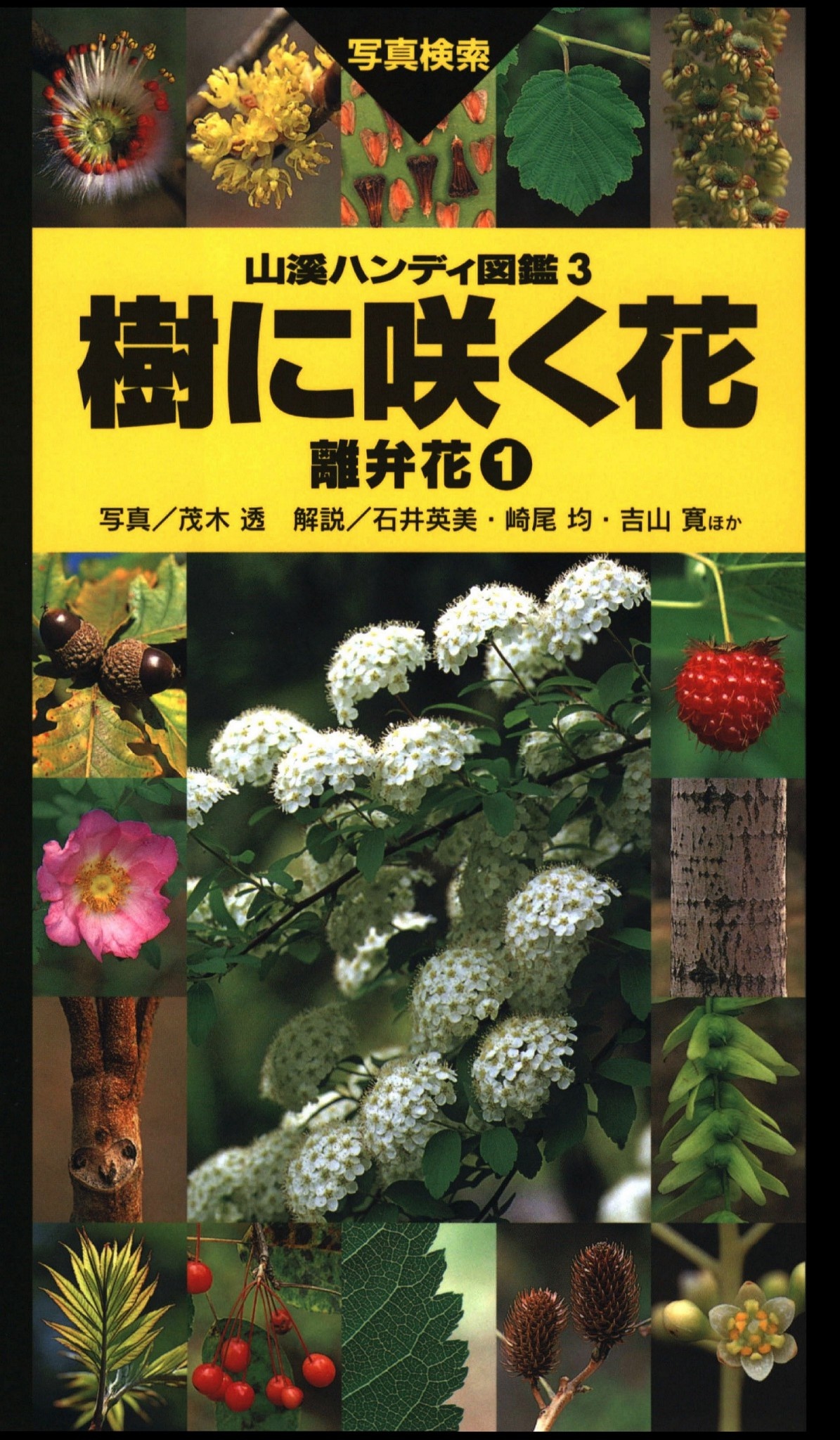 山溪ハンディ図鑑3 樹に咲く花 離弁花1 茂木透 高橋秀男 漫画 無料試し読みなら 電子書籍ストア ブックライブ