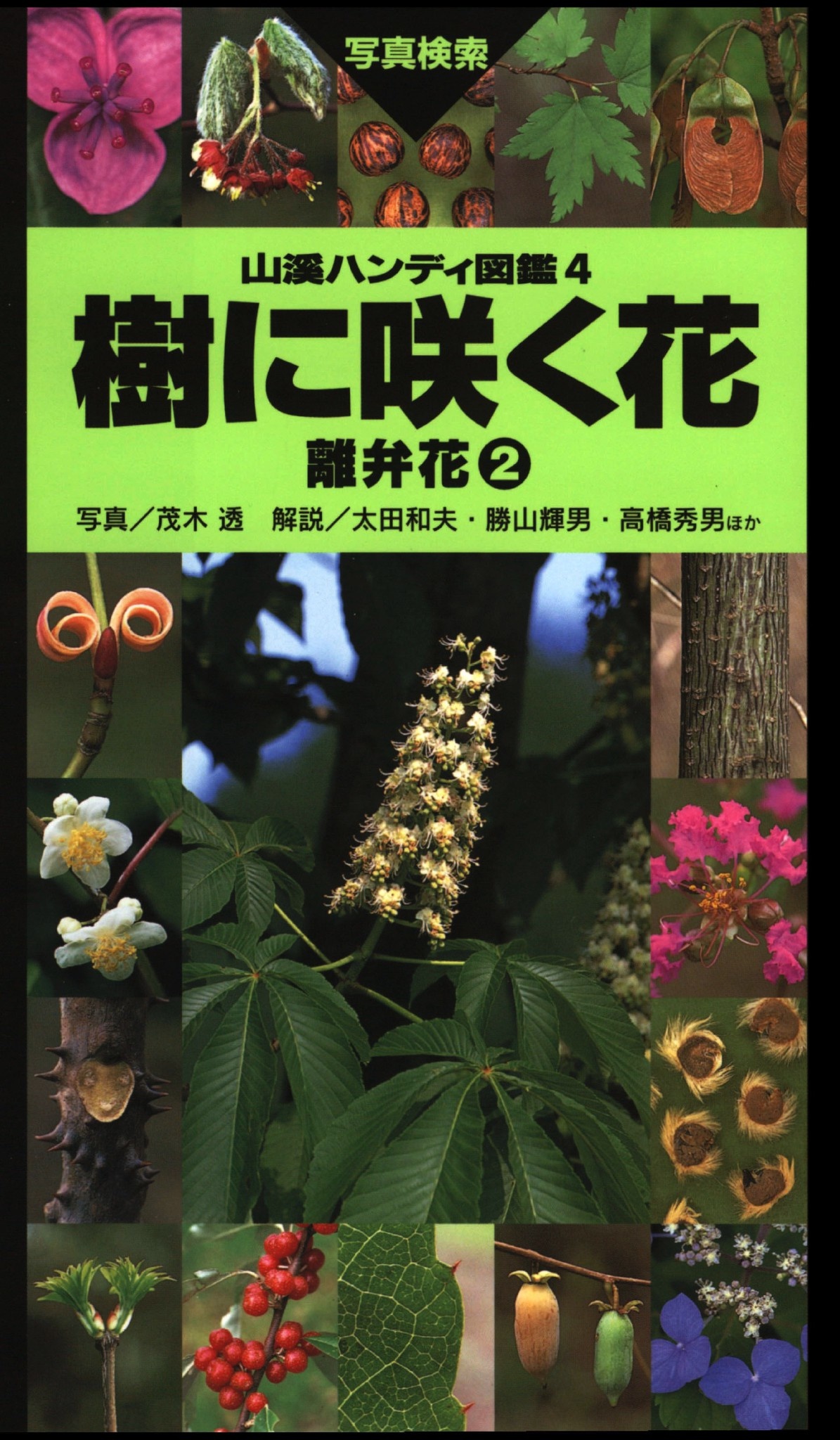 山溪ハンディ図鑑4 樹に咲く花 離弁花2 - 茂木透/太田和夫 - ビジネス・実用書・無料試し読みなら、電子書籍・コミックストア ブックライブ