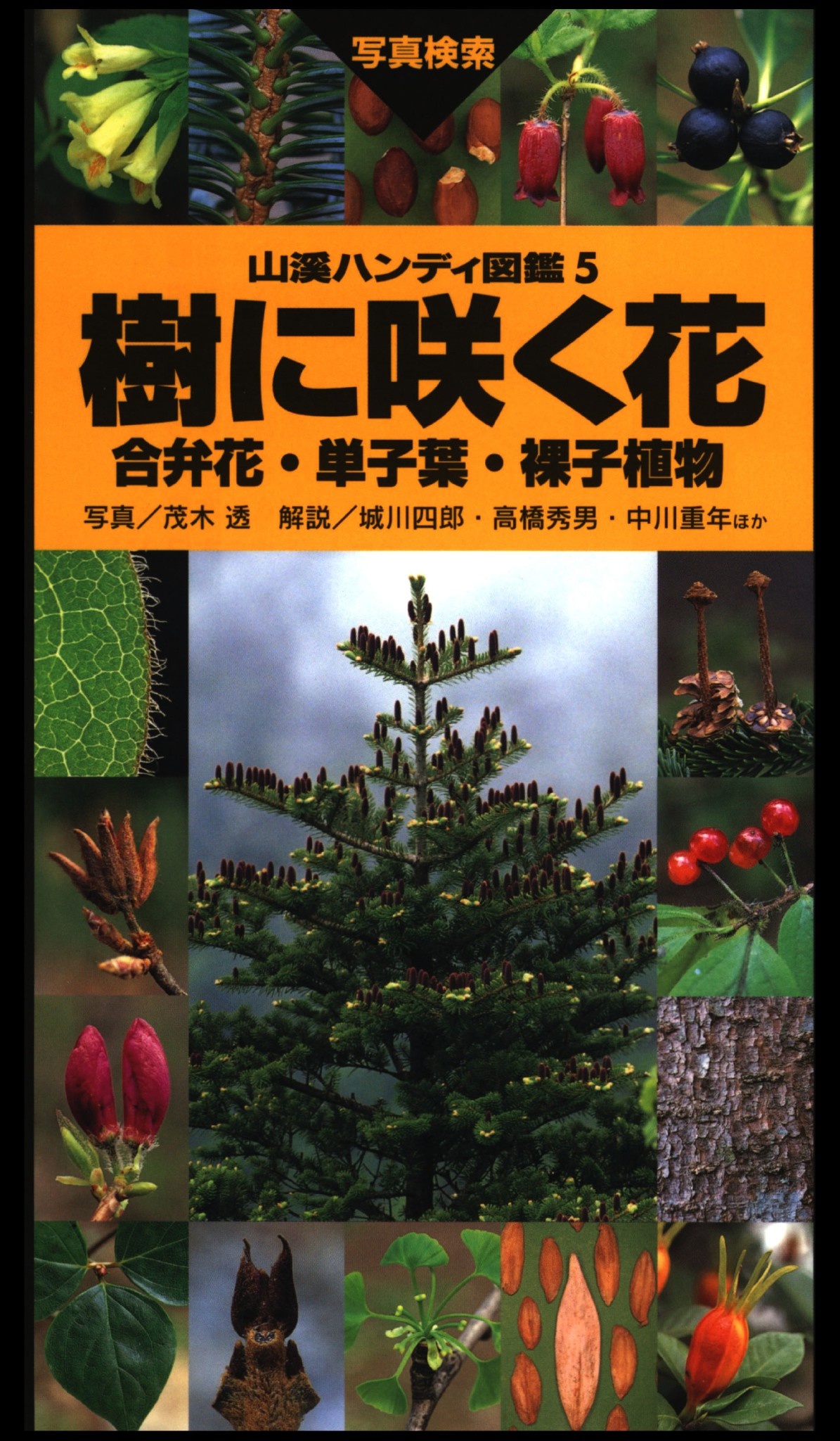 高山に咲く花 増補改訂新版 (山溪ハンディ図鑑)