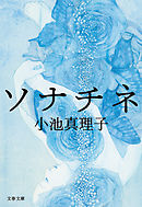 墓地を見おろす家 小池真理子 漫画 無料試し読みなら 電子書籍ストア ブックライブ