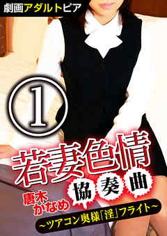 若妻色情協奏曲 (1) ツアコン奥様「淫」フライト