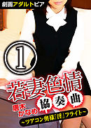 若妻色情協奏曲 (1) ツアコン奥様「淫」フライト