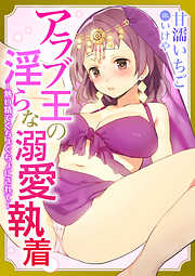 アラブ王の淫らな溺愛執着～熱い精でぐちょぐちょにされて～