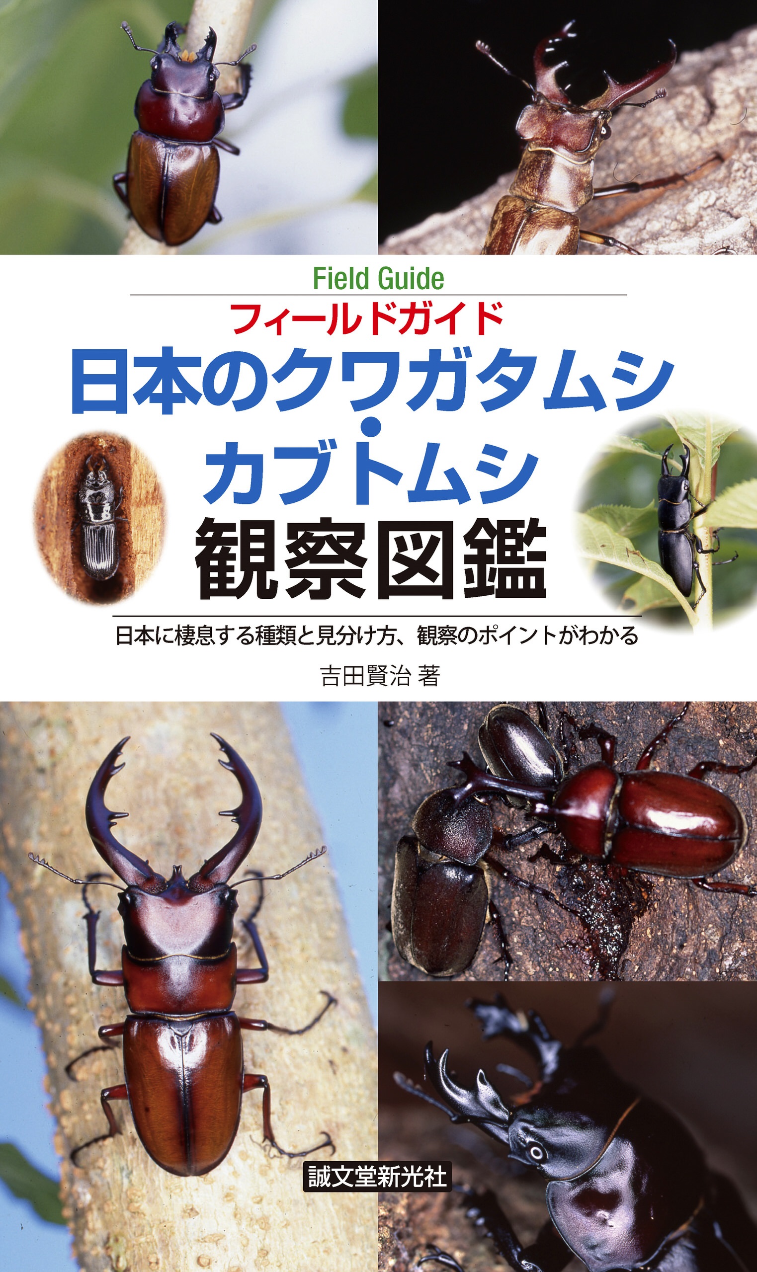 日本のクワガタムシ カブトムシ観察図鑑 日本に棲息する種類と見分け方 観察のポイントがわかる 吉田賢治 漫画 無料試し読みなら 電子書籍ストア ブックライブ