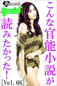 こんな官能小説が読みたかった！vol.66