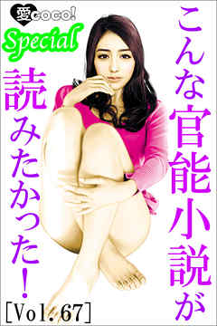 こんな官能小説が読みたかった！vol.67