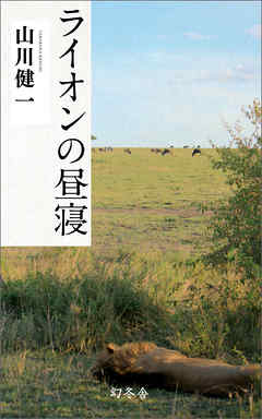 ライオンの昼寝