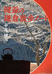 70歳からの海外旅行訪問記 - 相沢佳子 - 漫画・ラノベ（小説）・無料