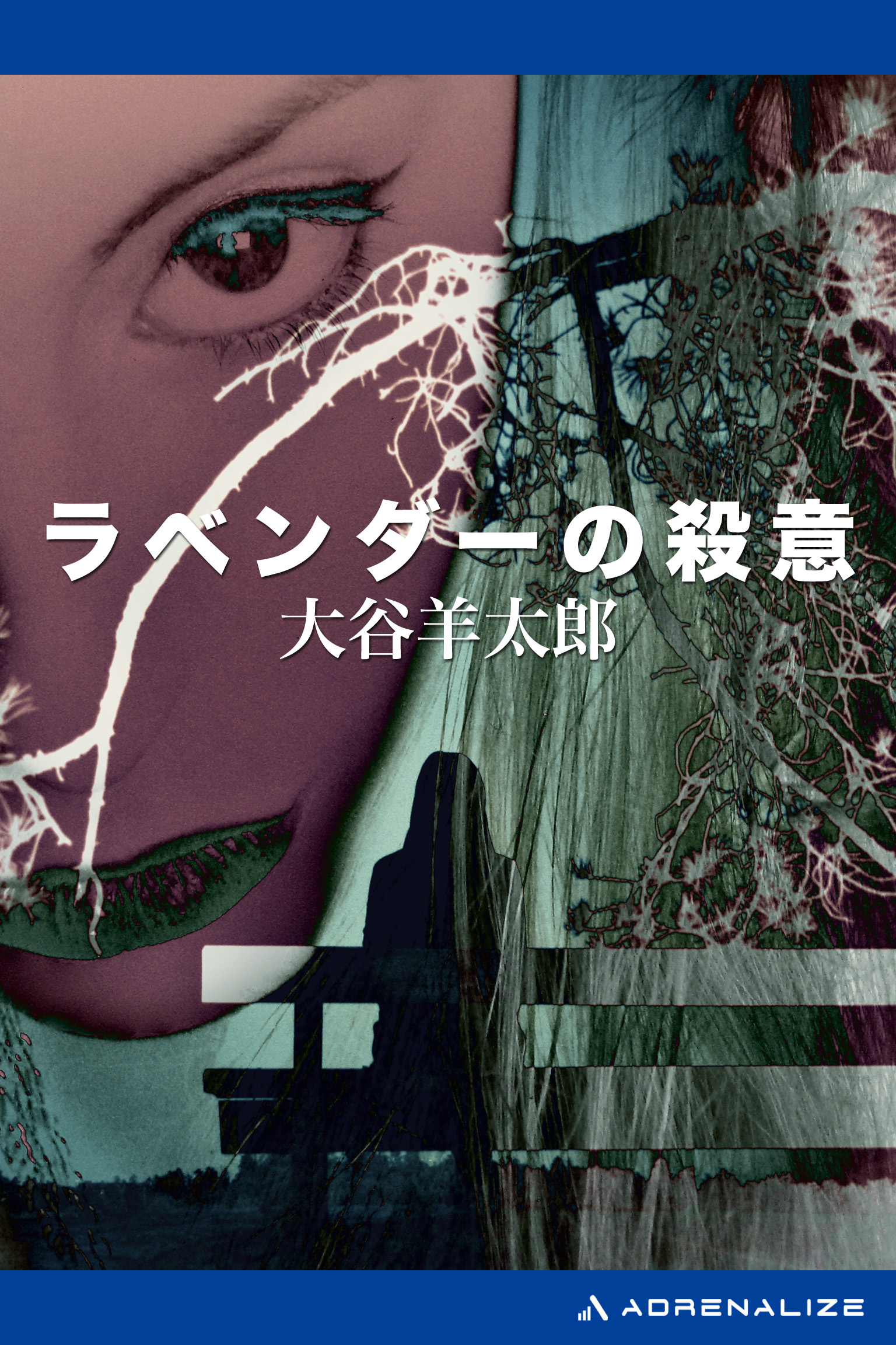 Amazon.co.jp: 大谷 羊太郎: 本、バイオグラフィー、最新