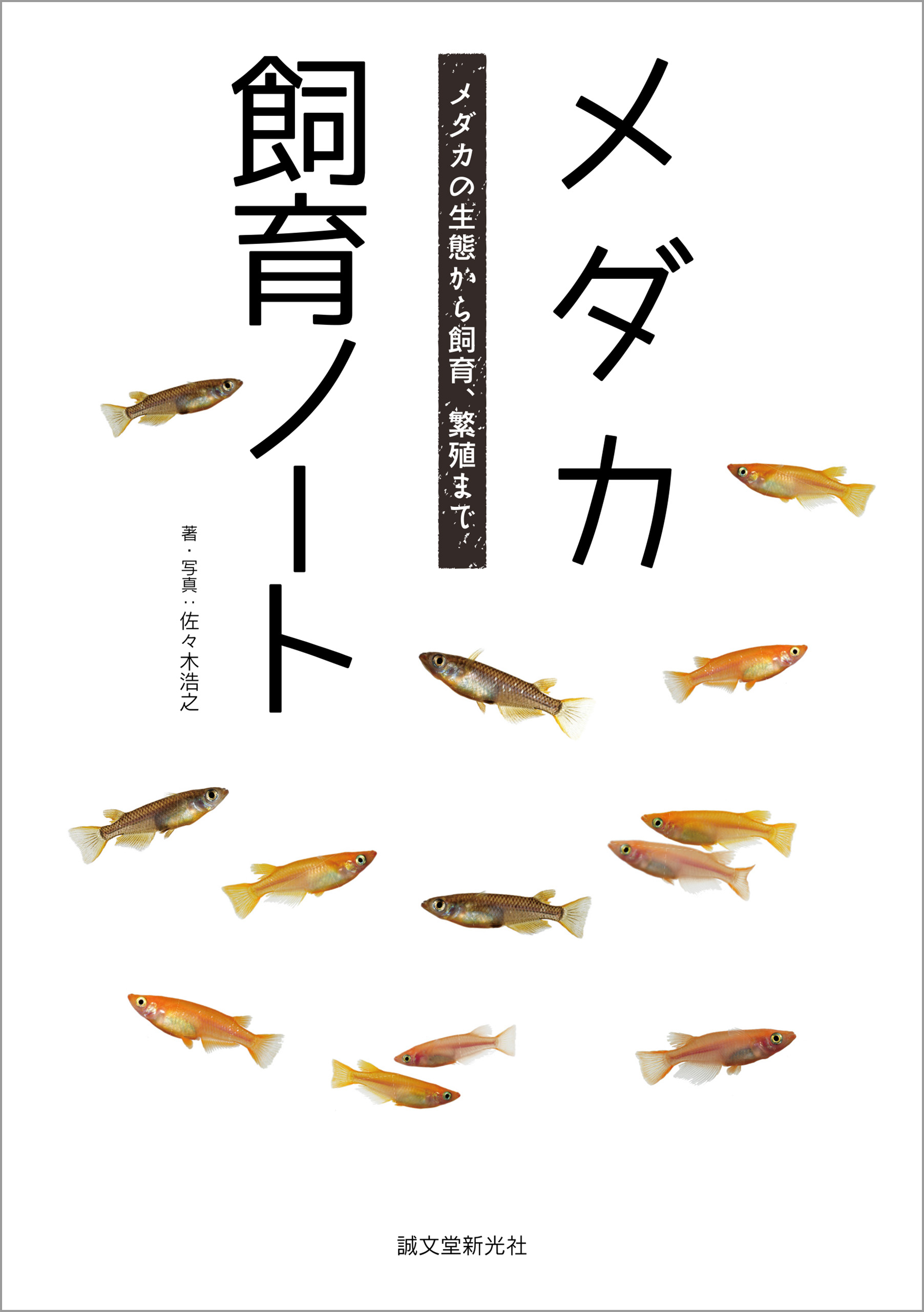 メダカ飼育・繁殖の究極セット - 本