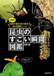 昆虫のすごい瞬間図鑑：一度は見ておきたい！公園や雑木林で探せる命の躍動シーン