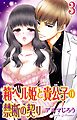 箱ヘル姫と貴公子の禁断の契り 3