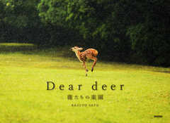 Dear deer γڱ