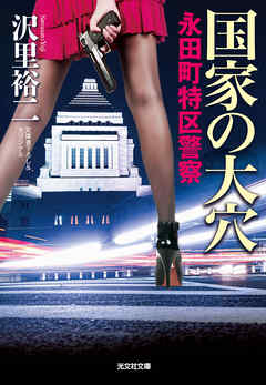 国家の大穴　永田町特区警察